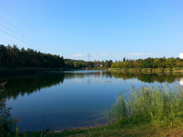 gewaesser-muenchfeldsee-asv-rastatt2