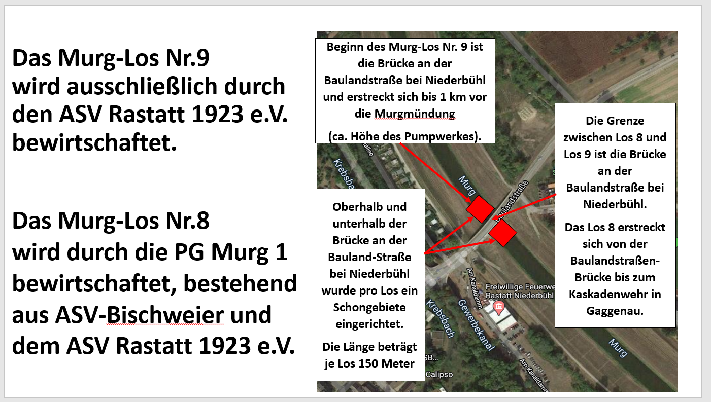 neue-loseinteilung-murg-2020-asv-rastatt-bild3
